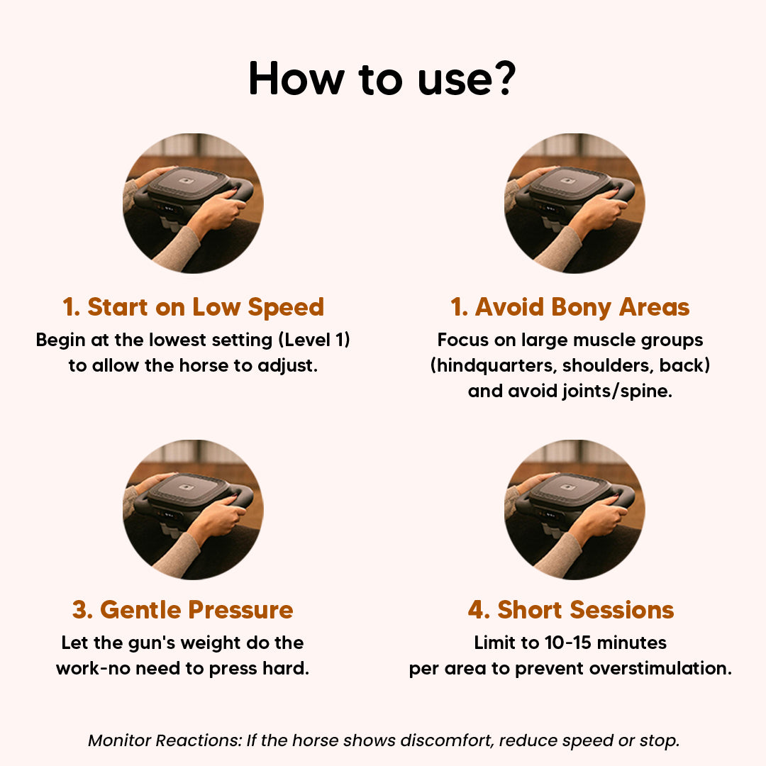 EquiSoothe 16-Head Horse Massager