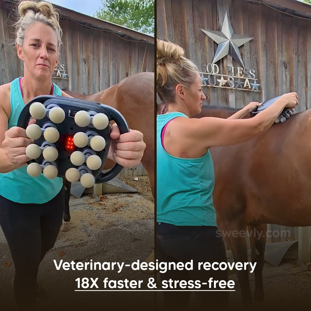 EquiSoothe 16-Head Horse Massager