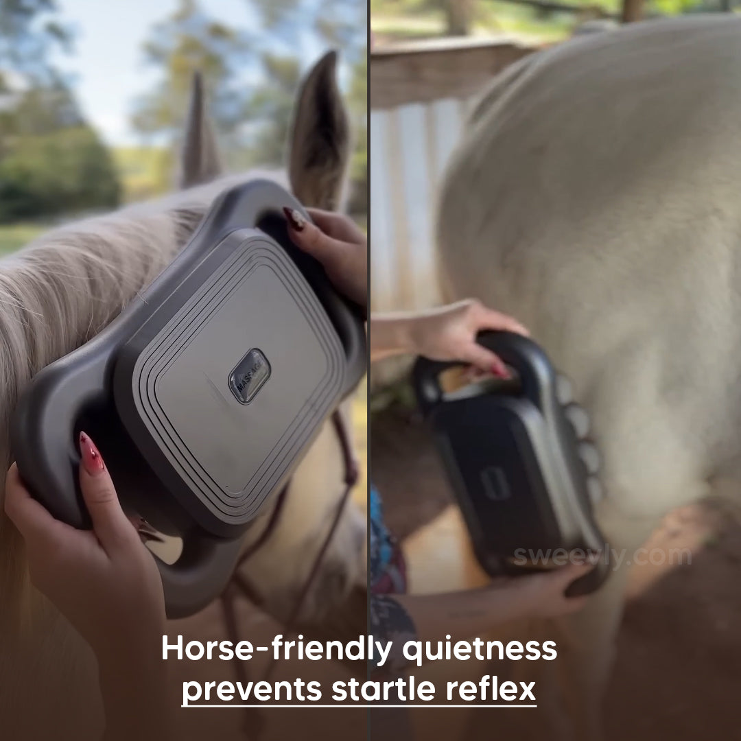 EquiSoothe 16-Head Horse Massager