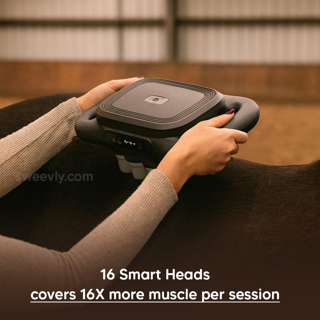 EquiSoothe 16-Head Horse Massager