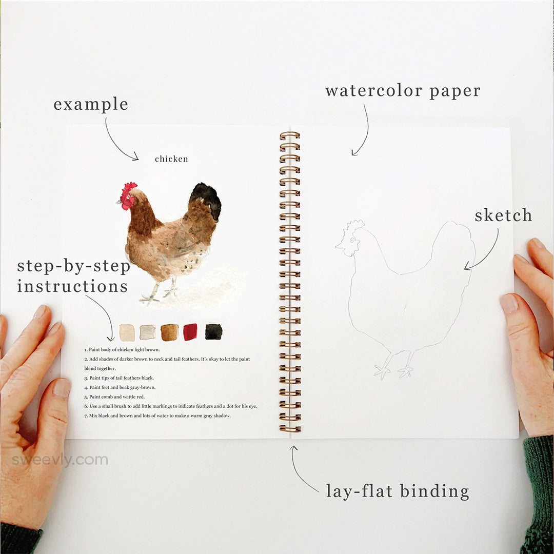 Watercolor Workbook Set