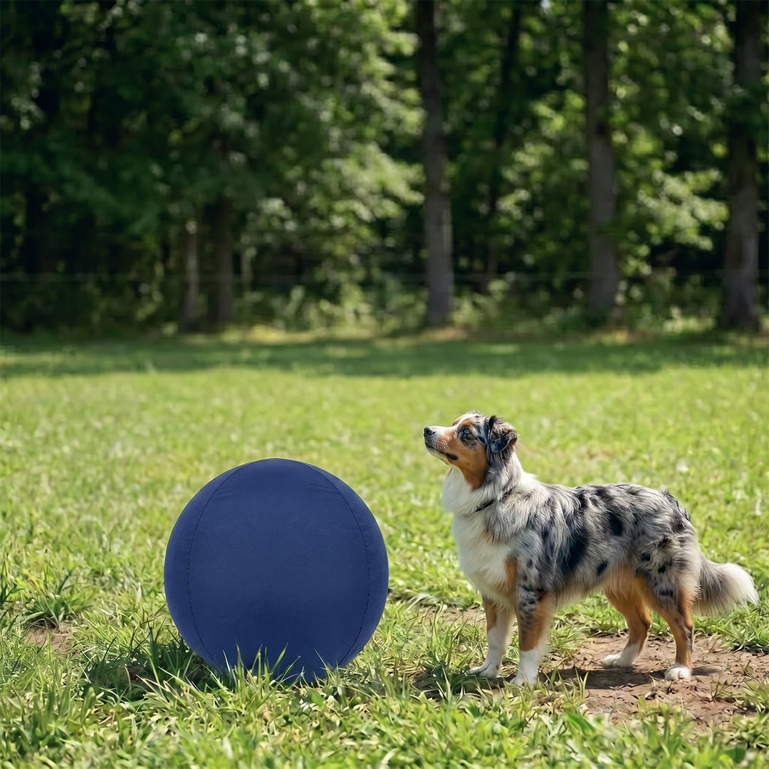 Sweevly™ Herding Ball