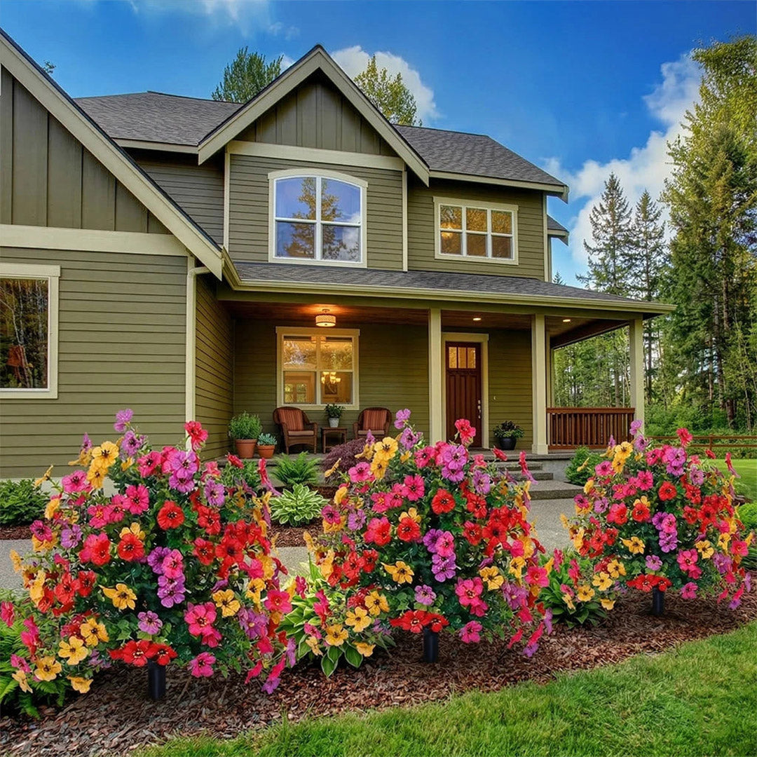 Bloomy® | Year-Round Garden Color