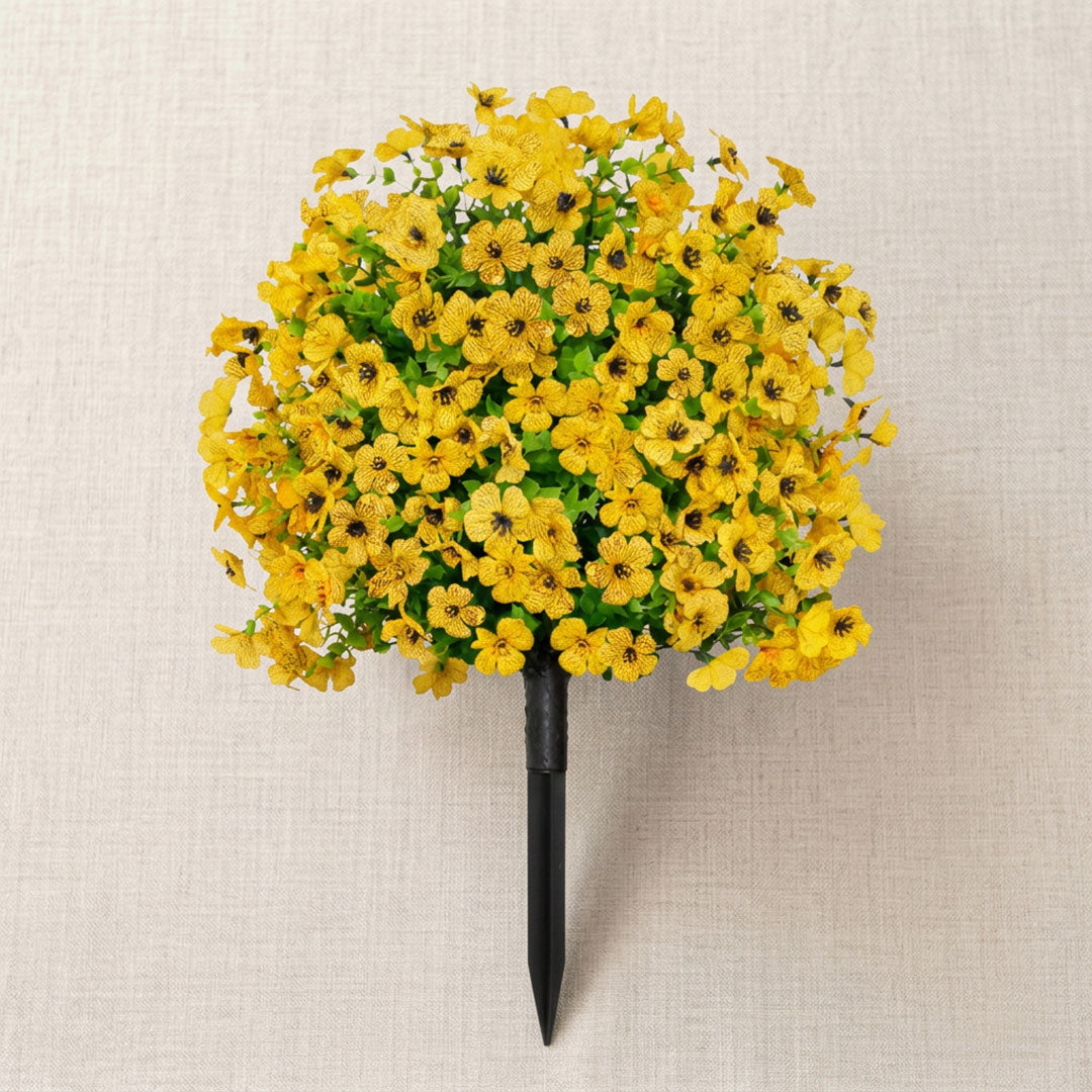Bloomy® | Year-Round Garden Color