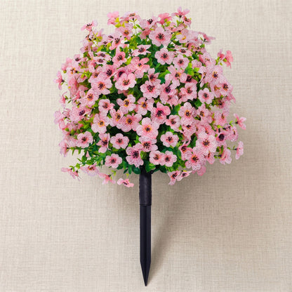 Bloomy® | Year-Round Garden Color