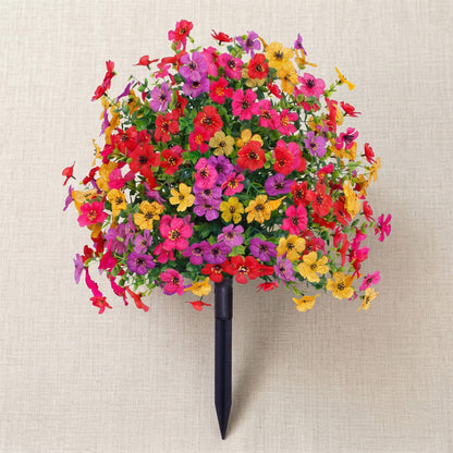 Bloomy® | Year-Round Garden Color