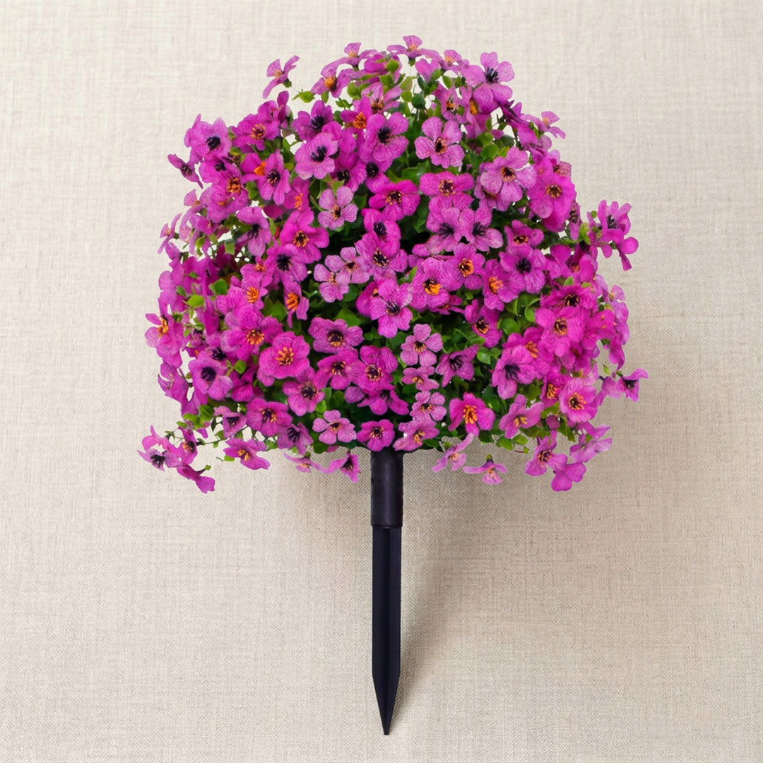 Bloomy® | Year-Round Garden Color
