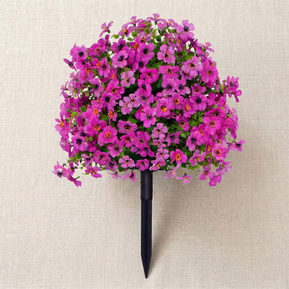 Bloomy® | Year-Round Garden Color