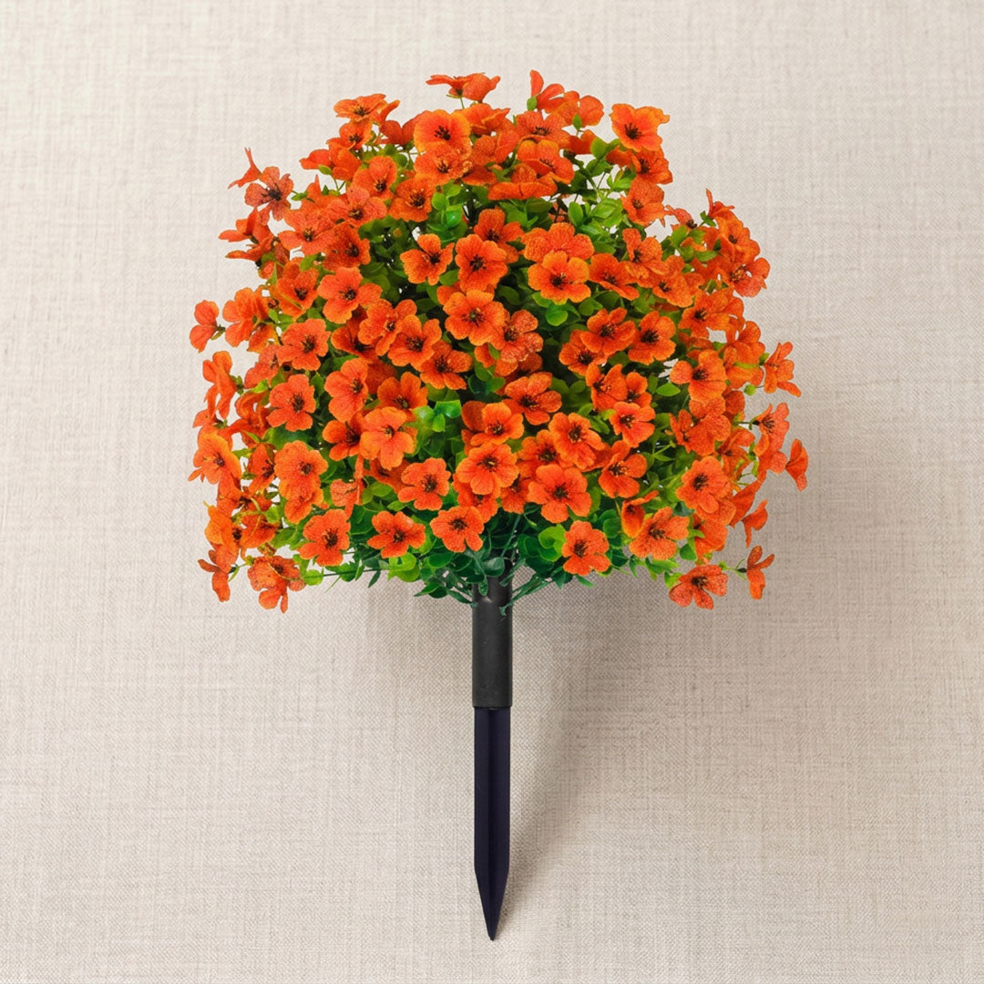 Bloomy® | Year-Round Garden Color