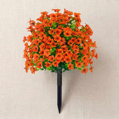 Bloomy® | Year-Round Garden Color
