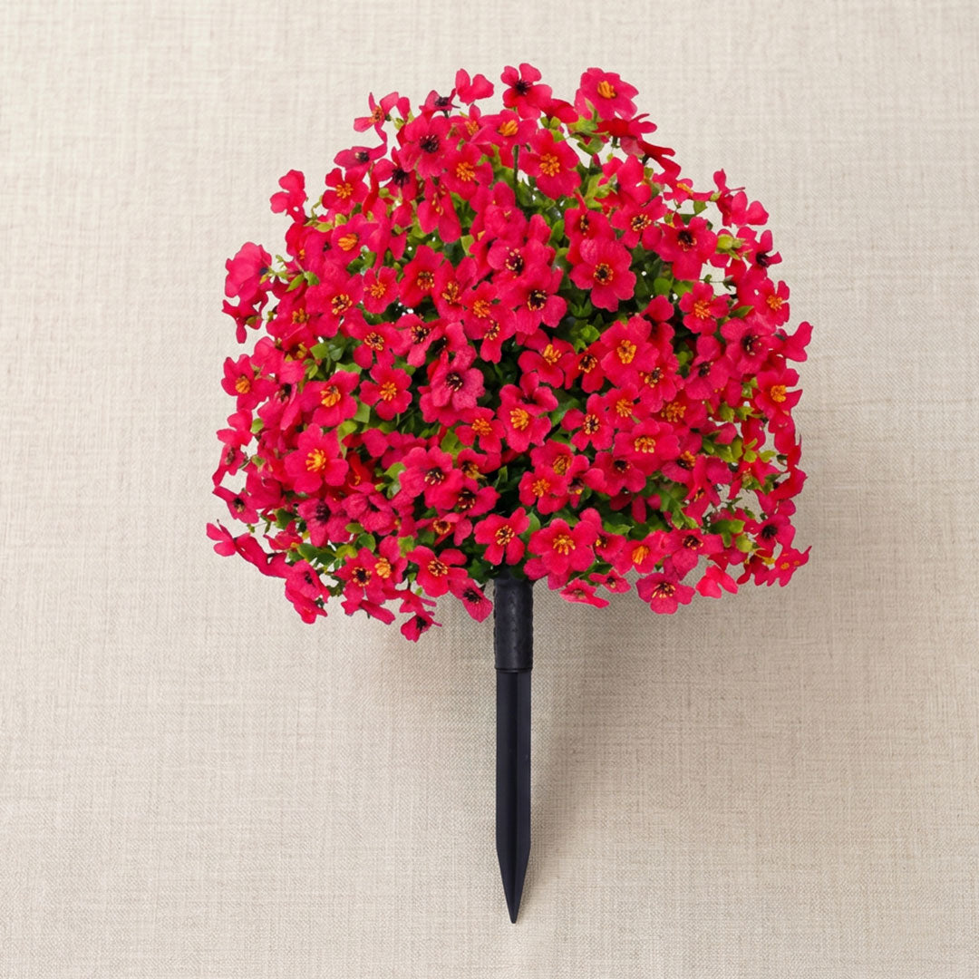 Bloomy® | Year-Round Garden Color