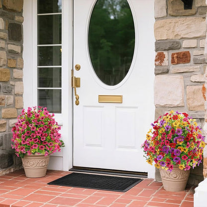Bloomy® | Year-Round Garden Color