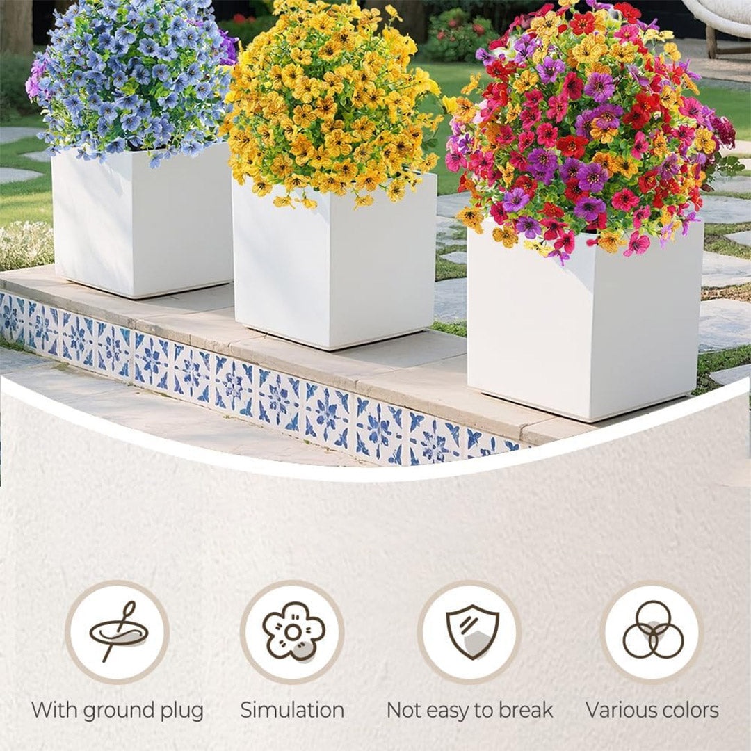 Bloomy® | Year-Round Garden Color