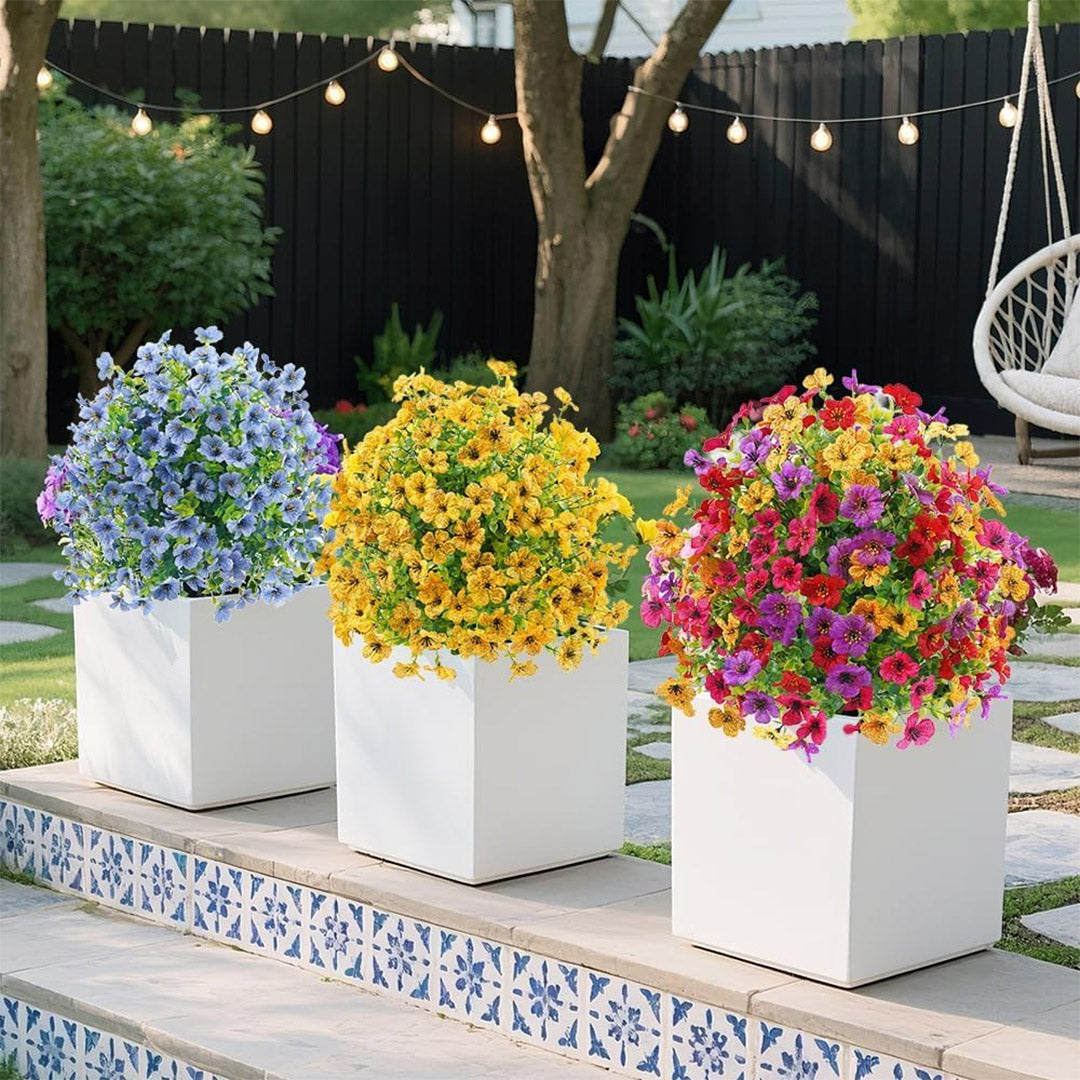 Bloomy® | Year-Round Garden Color