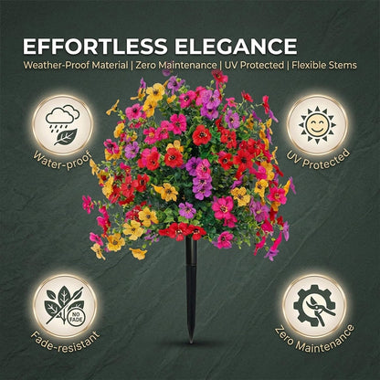 Bloomy® | Year-Round Garden Color