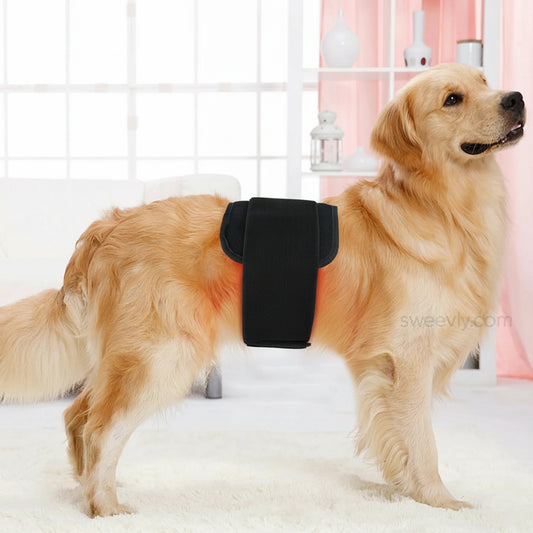 Soothe+ Red Light Belt