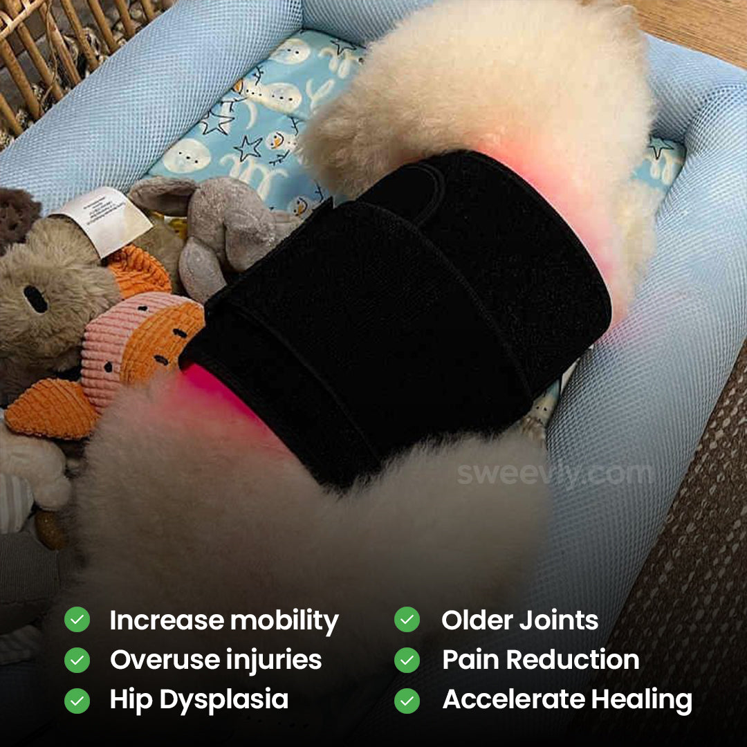 Soothe+ Red Light Belt