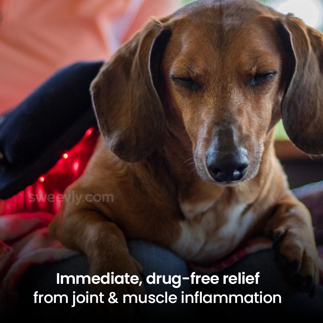 Soothe+ Red Light Belt