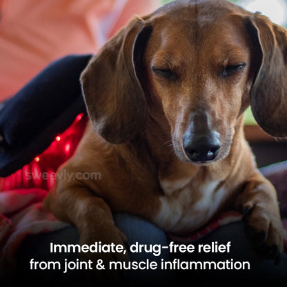 Soothe+ Red Light Belt