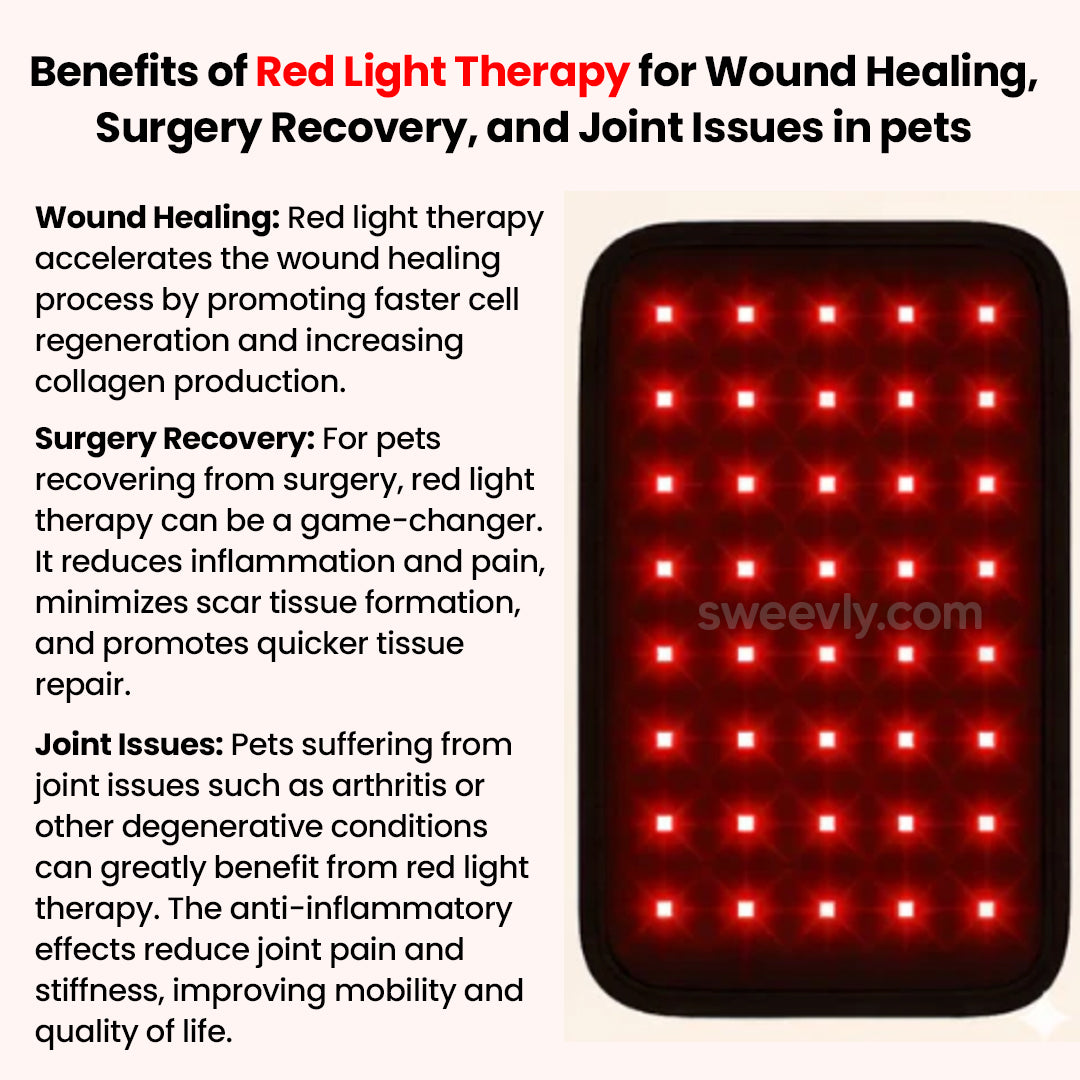 Soothe+ Red Light Belt