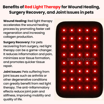 Soothe+ Red Light Belt