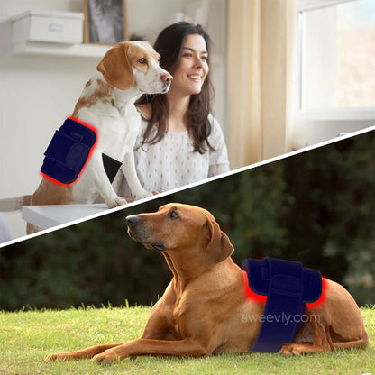 Soothe+ Red Light Belt