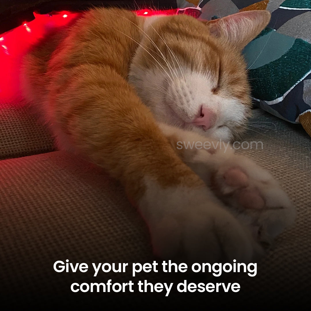 Soothe+ Red Light Belt