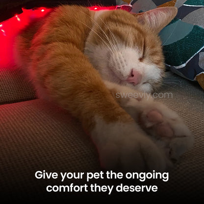 Soothe+ Red Light Belt