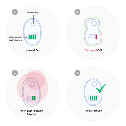 Soothe+ Red Light Belt