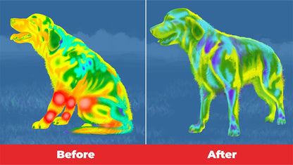 Soothe+ Red Light Belt