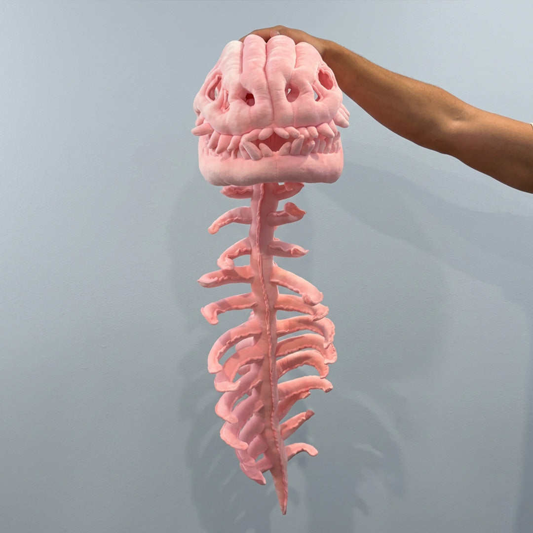 CuddleRex - Dinosaur Skeleton Plush