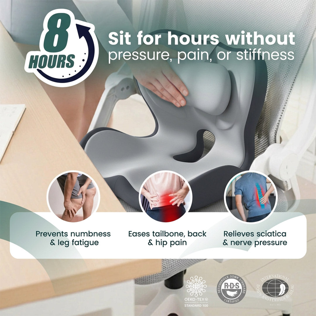Ease+ Orthopedic Cushion