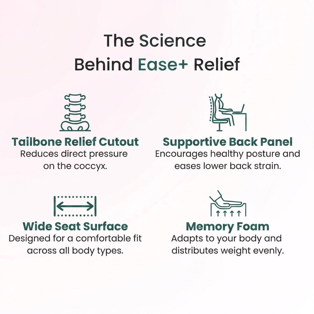 Ease+ Orthopedic Cushion