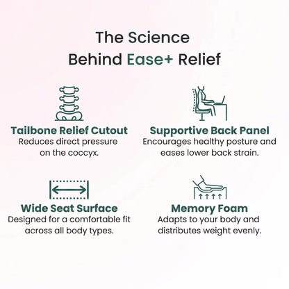 Ease+ Orthopedic Cushion