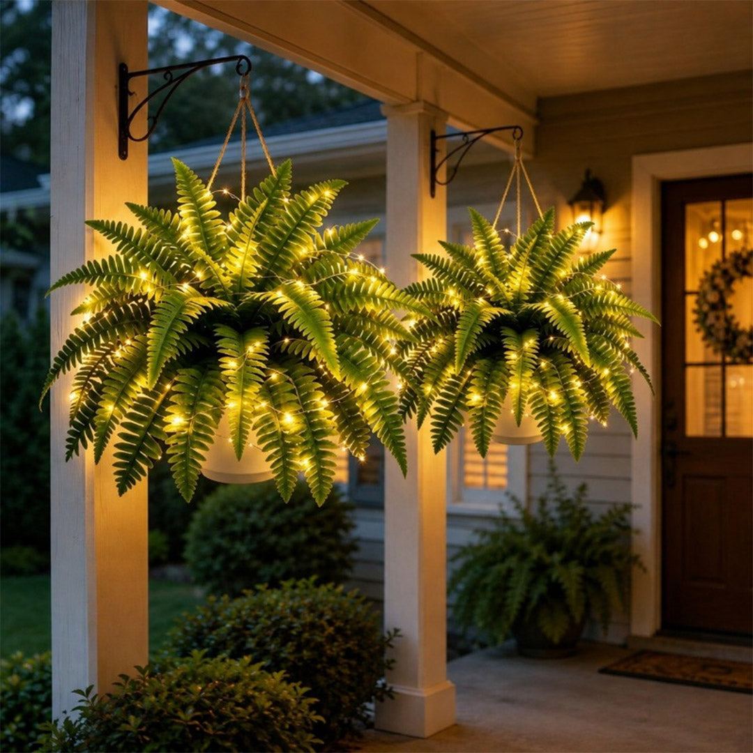 Glowing Boston Ferns with Lights