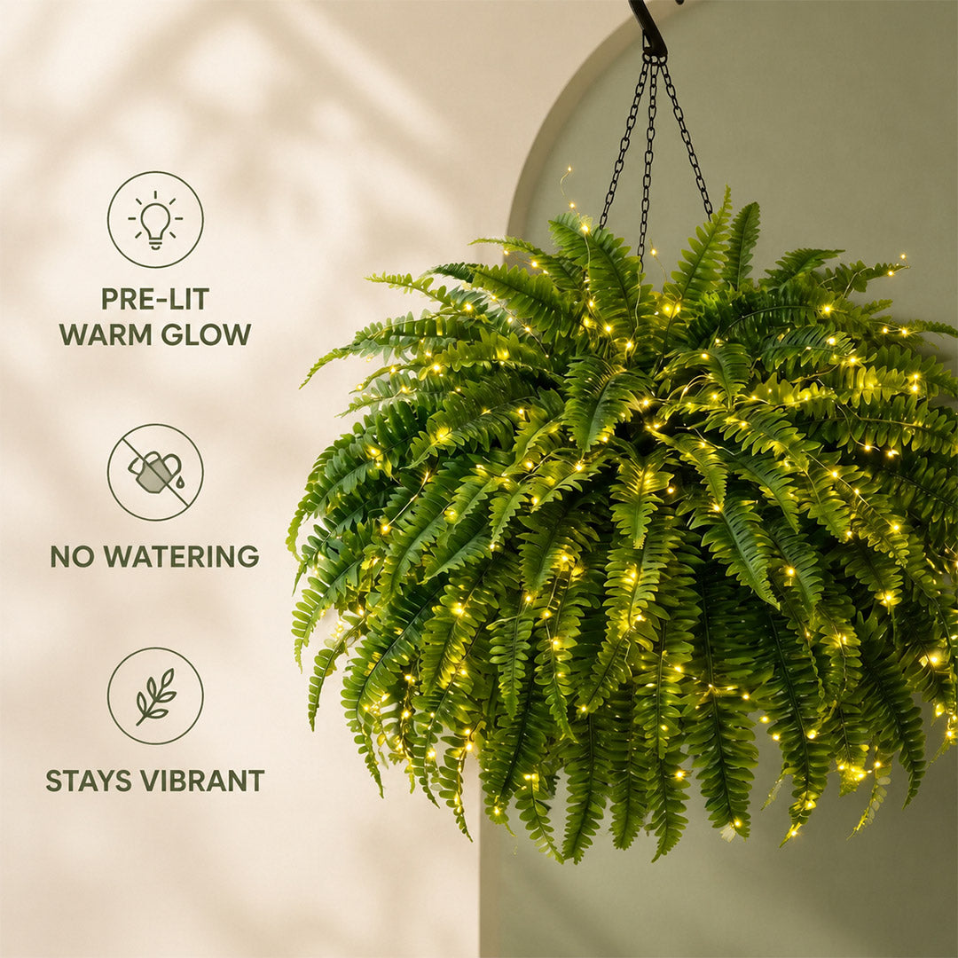 Glowing Boston Ferns with Lights