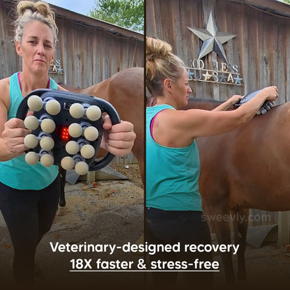 EquiSoothe 16-Head Horse Massager