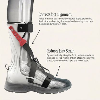 Lifty - Foot Drop Brace