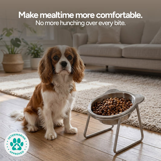 Pawsy - Elevated Dog Bowl