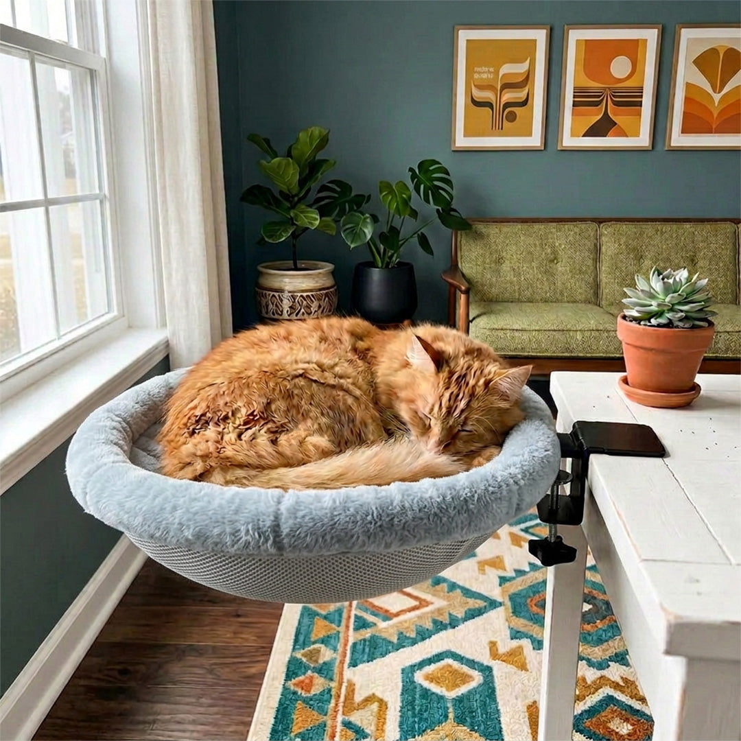 The Purrch Cat Hammock