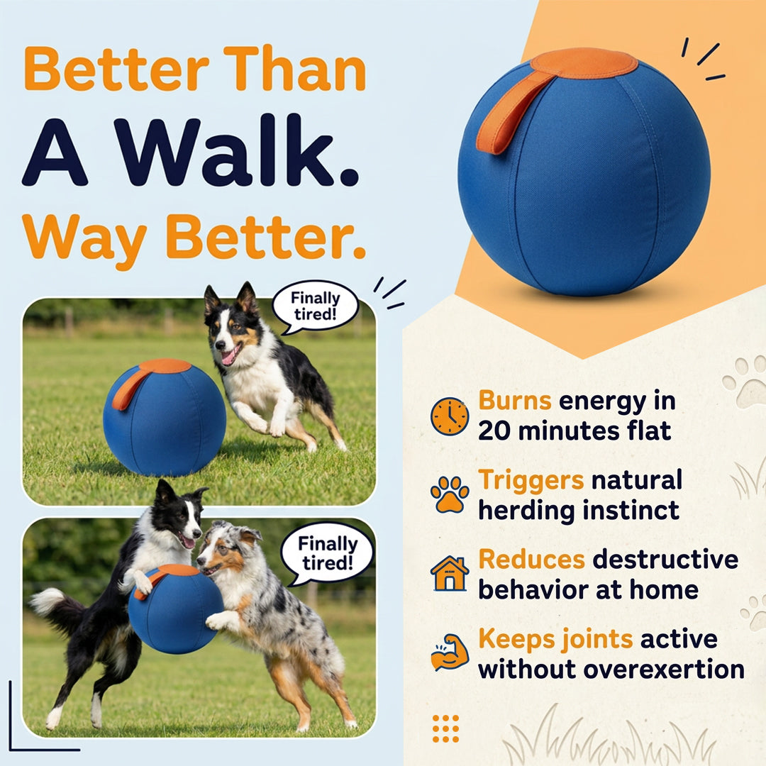 Sweevly™ Herding Ball