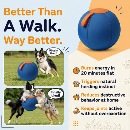 Sweevly™ Herding Ball