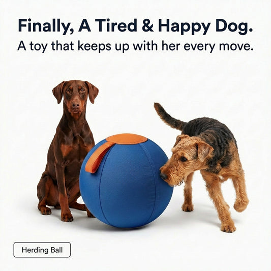 Sweevly™ Herding Ball