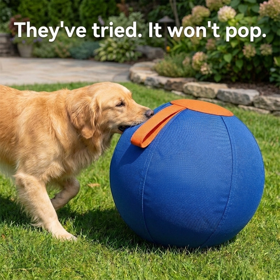 Sweevly™ Herding Ball