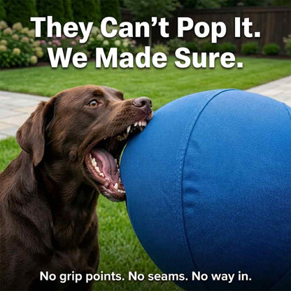 Sweevly™ Herding Ball