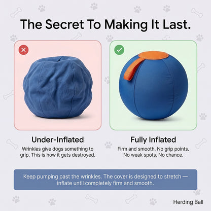 Sweevly™ Herding Ball